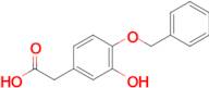 2-(4-(BENZYLOXY)-3-HYDROXYPHENYL)ACETIC ACID