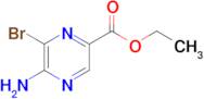 ETHYL 5-AMINO-6-BROMOPYRAZINE-2-CARBOXYLATE