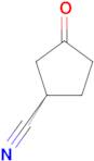 (1R)-3-OXOCYCLOPENTANE-1-CARBONITRILE