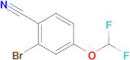 2-BROMO-4-(DIFLUOROMETHOXY)BENZONITRILE