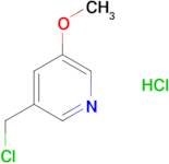 3-(CHLOROMETHYL)-5-METHOXYPYRIDINE HYDROCHLORIDE