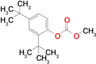 2,4-DI-TERT-BUTYLPHENYL METHYL CARBONATE