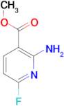 METHYL 2-AMINO-6-FLUORONICOTINATE