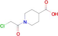 1-(2-CHLOROACETYL)PIPERIDINE-4-CARBOXYLIC ACID