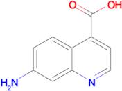 7-AMINOQUINOLINE-4-CARBOXYLIC ACID