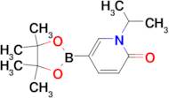 1-ISOPROPYL-6-OXO-1,6-DIHYDROPYRIDINE-3-BORONIC ACID PINACOL ESTER