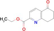 ETHYL 5-OXO-5,6,7,8-TETRAHYDROQUINOLINE-2-CARBOXYLATE