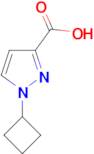 1-CYCLOBUTYL-1H-PYRAZOLE-3-CARBOXYLIC ACID