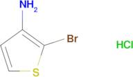 2-BROMOTHIOPHEN-3-AMINE HCL