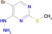 5-BROMO-4-HYDRAZINYL-2-(METHYLSULFANYL)PYRIMIDINE