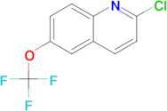 2-CHLORO-6-(TRIFLUOROMETHOXY)QUINOLINE