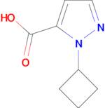 1-CYCLOBUTYL-1H-PYRAZOLE-5-CARBOXYLIC ACID