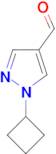 1-CYCLOBUTYL-1H-PYRAZOLE-4-CARBALDEHYDE