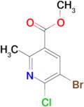 METHYL 5-BROMO-6-CHLORO-2-METHYLNICOTINATE