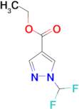 ETHYL 1-(DIFLUOROMETHYL)-1H-PYRAZOLE-4-CARBOXYLATE