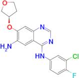 (R)-N4-(3-CHLORO-4-FLUOROPHENYL)-7-(TETRAHYDROFURAN-3-YLOXY)QUINAZOLINE-4,6-DIAMINE