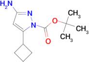 TERT-BUTYL 3-AMINO-5-CYCLOBUTYL-1H-PYRAZOLE-1-CARBOXYLATE