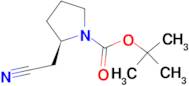 (R)-TERT-BUTYL 2-(CYANOMETHYL)PYRROLIDINE-1-CARBOXYLATE