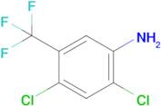 2,4-DICHLORO-5-(TRIFLUOROMETHYL)BENZENAMINE