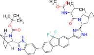 tert-butyl (1R,3S,4S)-3-[6-(9,9-difluoro-7-{2-[(6S)-5-[(2S)-2-[(methoxycarbonyl)amino]-3-methylbut…