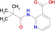 3-Pyridinecarboxylic acid, 2-[(2,2-dimethyl-1-oxopropyl)amino]-