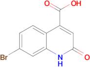 7-Bromo-2-oxo-1,2-dihydroquinoline-4-carboxylic acid