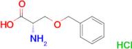 L-Serine, O-(phenylmethyl)-, hydrochloride