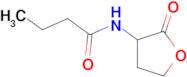 Butanamide, N-(tetrahydro-2-oxo-3-furanyl)-