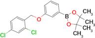 1,3,2-Dioxaborolane, 2-[3-[(2,4-dichlorophenyl)methoxy]phenyl]-4,4,5,5-tetramethyl-