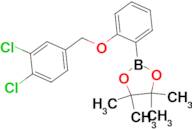 1,3,2-Dioxaborolane, 2-[2-[(3,4-dichlorophenyl)methoxy]phenyl]-4,4,5,5-tetramethyl-