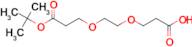 3-(2-(3-(tert-Butoxy)-3-oxopropoxy)ethoxy)propanoic acid