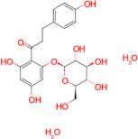 1-(2,4-Dihydroxy-6-(((2S,3R,4S,5S,6R)-3,4,5-trihydroxy-6-(hydroxymethyl)tetrahydro-2H-pyran-2-yl)oxy)phenyl)-3-(4-hydroxyphenyl)propan-1-one dihydrate