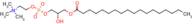 (R)-2-Hydroxy-3-(stearoyloxy)propyl (2-(trimethylammonio)ethyl) phosphate