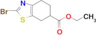 Ethyl 2-bromo-4,5,6,7-tetrahydrobenzo[d]thiazole-6-carboxylate