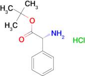 (R)-tert-Butyl 2-amino-2-phenylacetate hydrochloride