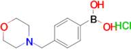 [4-(morpholin-4-ylmethyl)phenyl]boronic acid hydrochloride