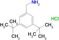 1-(3,5-di-tert-butylphenyl)methanamine hydrochloride