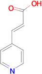 (E)-3-Pyridin-4-yl-acrylic acid