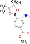 Methyl 3-amino-4-(4,4,5,5-tetramethyl-1,3,2-dioxaborolan-2-yl)benzoate