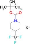 potassium {1-[(tert-butoxy)carbonyl]piperidin-4-yl}trifluoroboranuide