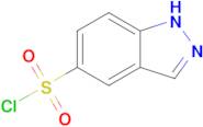 1H-Indazole-5-sulfonyl chloride