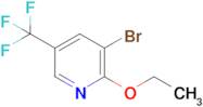 3-Bromo-2-ethoxy-5-(trifluoromethyl)pyridine