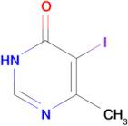 5-iodo-6-methyl-3,4-dihydropyrimidin-4-one