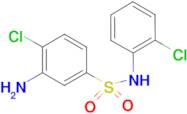 3-Amino-4-chloro-N-(2-chloro-phenyl)-benzenesulfonamide