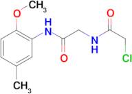 2-chloro-N-{2-[(2-methoxy-5-methylphenyl)amino]-2-oxoethyl}acetamide