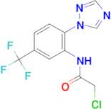 2-chloro-N-[2-(1H-1,2,4-triazol-1-yl)-5-(trifluoromethyl)phenyl]acetamide