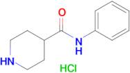 N-Phenyl-4-piperidinecarboxamide hydrochloride