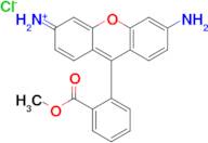 Rhodamine 123