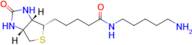 N-(5-Aminopentyl)-5-((3aS,4S,6aR)-2-oxohexahydro-1H-thieno[3,4-d]imidazol-4-yl)pentanamide