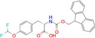 L-Tyrosine, O-(difluoromethyl)-N-[(9H-fluoren-9-ylmethoxy)carbonyl]-